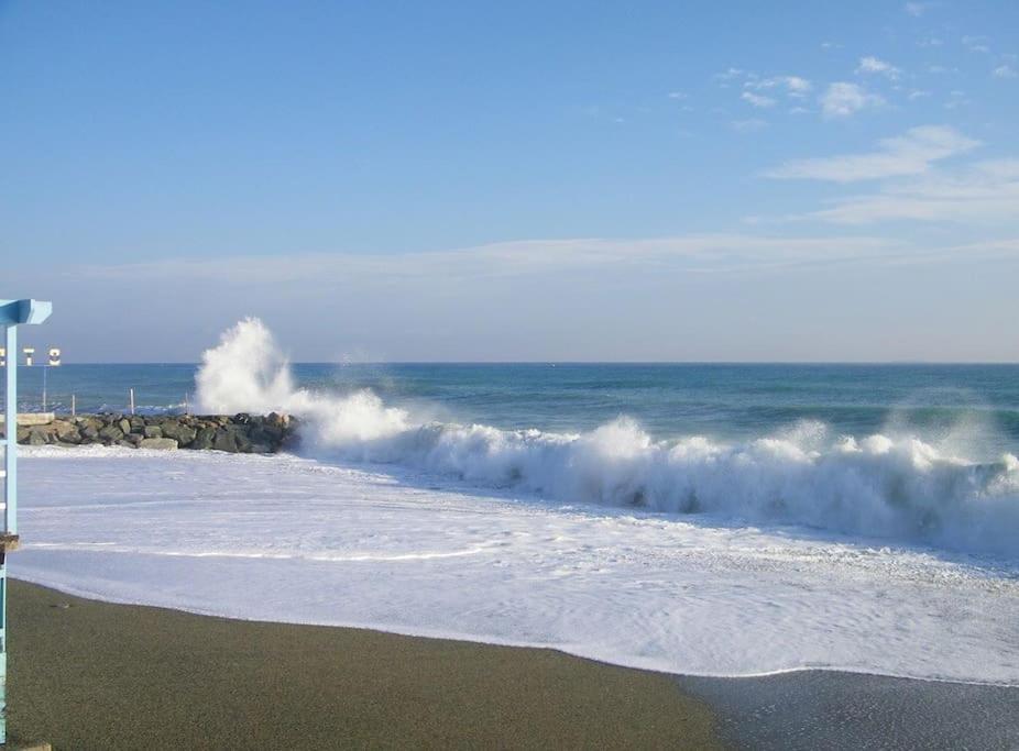Le Finestre Sul Mare Apartment Albissola Marina Luaran gambar